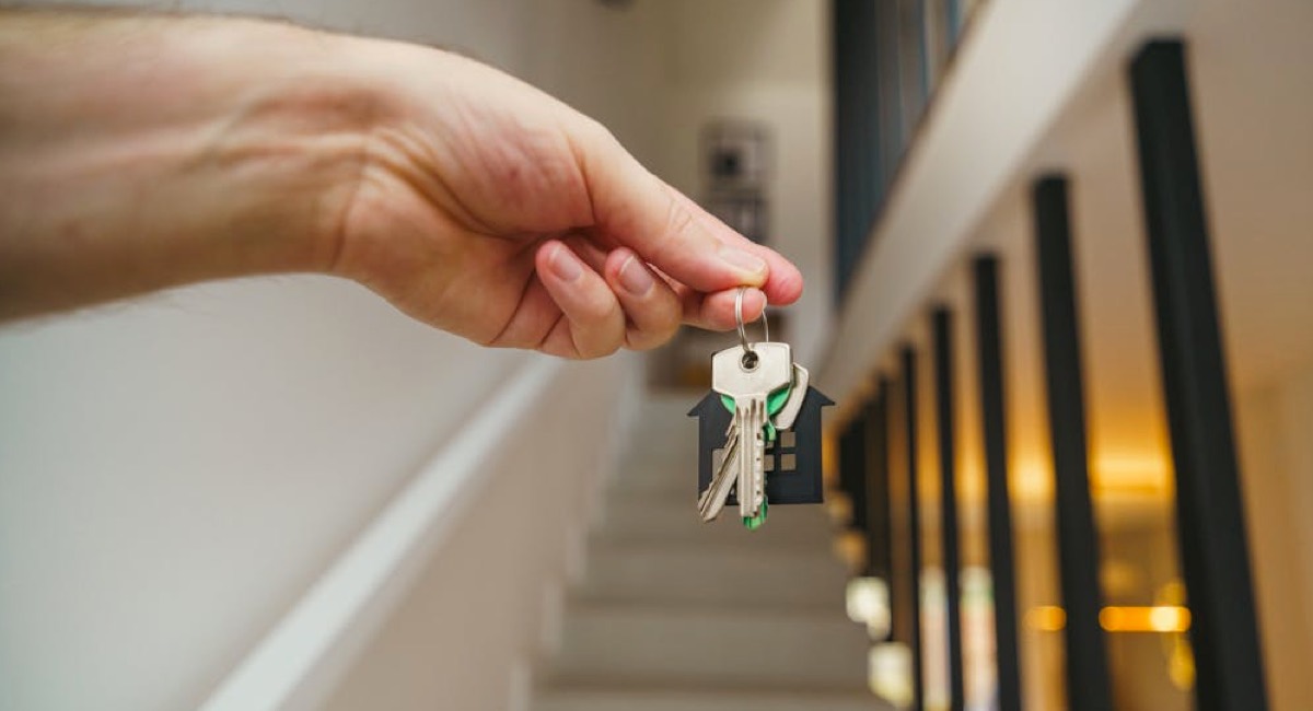 How Automated Conveyancing Searches Reduce Delays and Errors